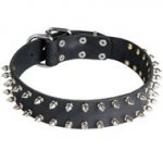 Leather Schutzhund Dog Collar with 2 Rows of Nickel Spikes