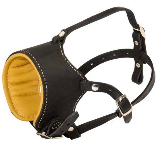 leather dog muzzle