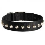 Exclusive Nylon Schutzhund Dog Collar with Awesome Nickel Cones