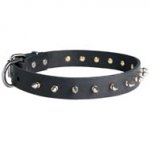 Schutzhund Dog Leather Collar Spiked 30 mm