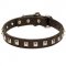 Schutzhund Dog Leather Collar Caterpillar Design