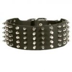 Schutzhund Dog Leather Collar Spiked and Studded