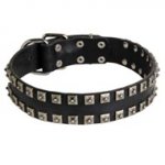 New Leather Schutzhund Dog Collar - Fashion Exclusive Design - "Caterpillar"
