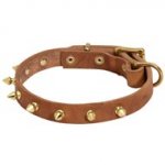 Walking Leather Schutzhund Dog Collar with Brass Spikes