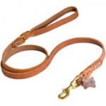 Walking and Training Leather Schutzhund Dog Leash with Comfy Handle