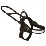 All Weather Nylon Schutzhund DogHarness for Guide and Assistance