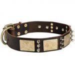 Designer War-Style Leather Schutzhund Collar with Spikes and Plates