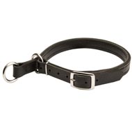 Schutzhund Dog Leather Choke Collar