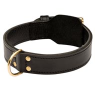 Training 2 Ply Leather Schutzhund Dog Collar