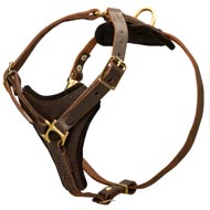 Tracking Leather Schutzhund Dog Harness With Y-Chest Plate