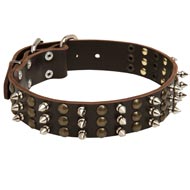Schutzhund Dog Spikes and Studs Rows Leather Dog Collar