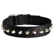 Exclusive Nylon Schutzhund Dog Collar with Awesome Nickel Cones