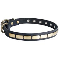 Schutzhund Dog Leather Collar Brass Plates 25 mm