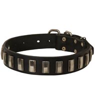 Leather Schutzhund Dog Collar with Shiny Plates