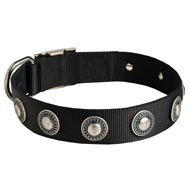 Nylon Schutzhund Dog Collar with Circles Decoration