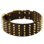 Wide Spiked Leather Schutzhund Dog Collar