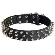 Leather Schutzhund Dog Collar with 3 Rows of Nickel Spikes