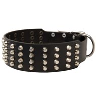 Extra Wide 4 Rows Studded Leather Schutzhund Dog Collar