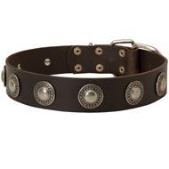 Leather Schutzhund Dog Collar Decorated with Silver Conchos