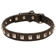 Schutzhund Dog Leather Collar Caterpillar Design