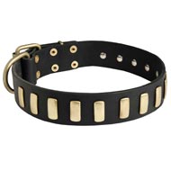 Fancy Leather Schutzhund Dog Collar with Brass Plates