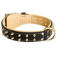 Royal Leather Schutzhund Dog Collar Spiked Padded with Nappa Leather