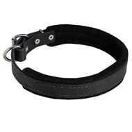 Padded Leather Schutzhund Dog Collar 25 mm for Dog Training