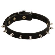 Schutzhund Dog Leather Collar Spiked 3/4 Inch