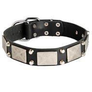 Leather Schutzhund Dog Collar Decorated with Nickel Cones and Plates