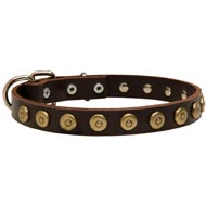 Leather Schutzhund Dog Collar with Brass Dotted Circles for Fashion Walking