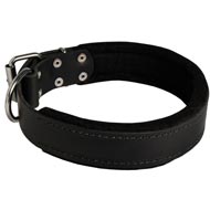 Schutzhund Dog Durable Padded Leather Collar 40 mm