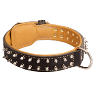 Spiked Schutzhund Dog Collar Padded with Nappa Leather