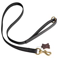 All Weather Nylon Schutzhund Dog Leash for Walking and Training Activities
