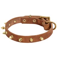 Walking Leather Schutzhund Dog Collar with Brass Spikes