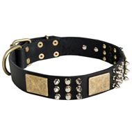 Spiked Leather Schutzhund Dog Collar with Plates and Cones