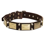 Leather Schutzhund Dog Collar with Studs and Plates