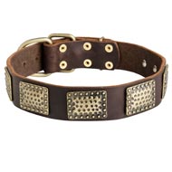 Leather Schutzhund Dog Collar with Massive Brass Plates