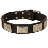 Leather Schutzhund Dog Collar with Large Nickel Plates