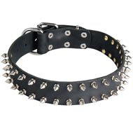 Leather Schutzhund Dog Collar with 2 Rows of Nickel Spikes