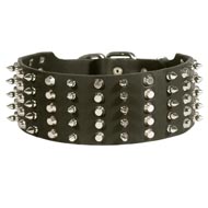Schutzhund Dog Leather Collar Spiked and Studded