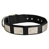 Nylon Schutzhund Dog Collar with Massive Nickel Plates