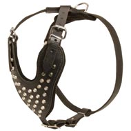 Adjustable Leather Schutzhund Dog Harness Studded for Fashion Walking