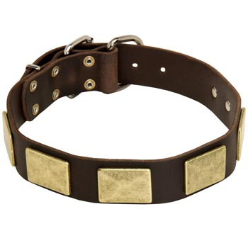 Leather Schutzhund Dog Collar with Fashionable Studs