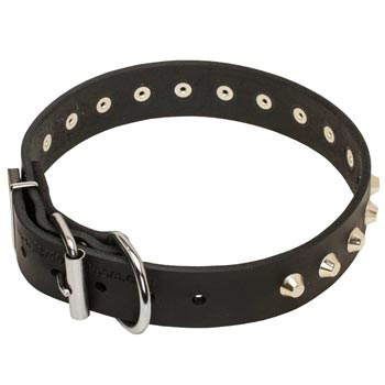 Training Walking Leather Dog Collar with Buckle for Schutzhund Dog
