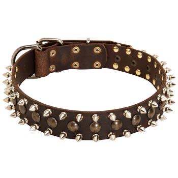 Schutzhund Dog Leather Collar with Stylish Decoration