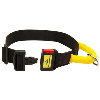 Nylon Schutzhund Dog Collar with Quick Release Buckle