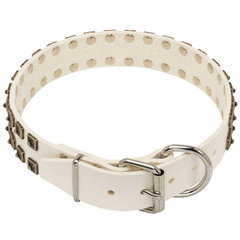 White Leather Schutzhund Dog Collar with Old Nickel Square Studs for Daily Dog Walking NEW