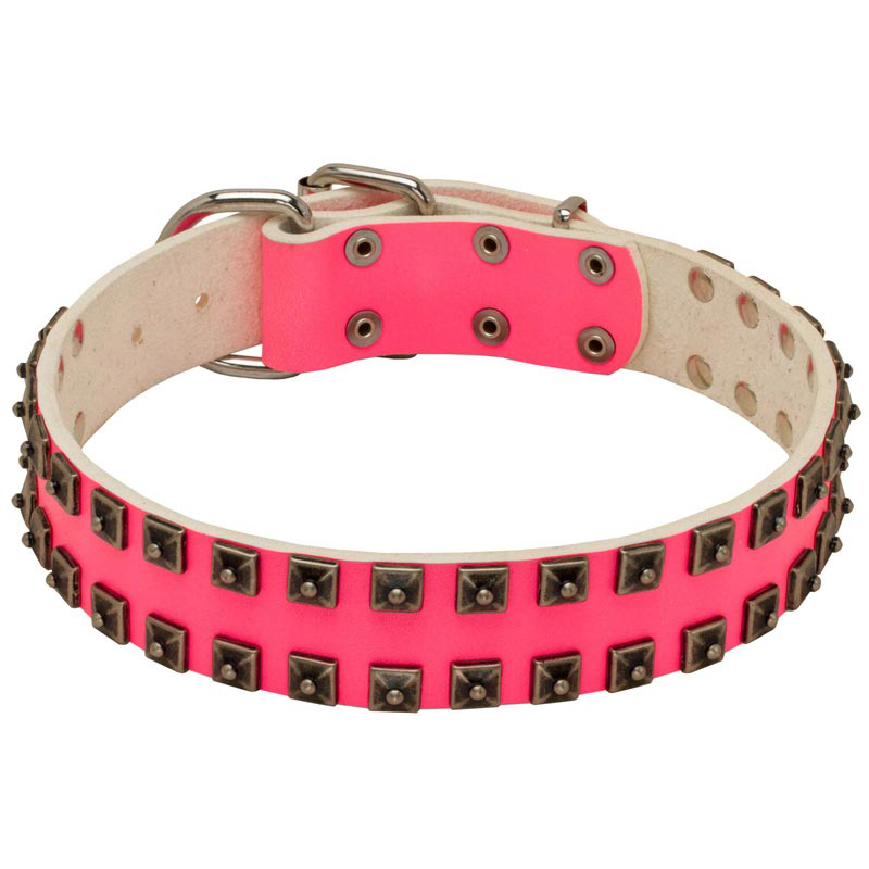 pink studded collar