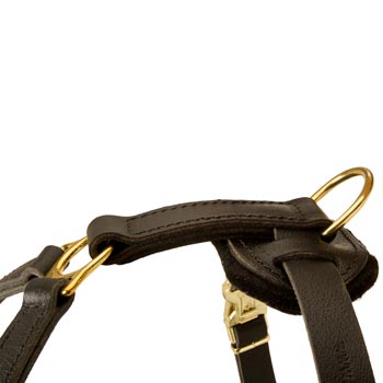Corrosion Resistant D-ring of Schutzhund Dog Harness