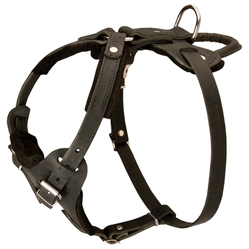 Schutzhund harness cheap